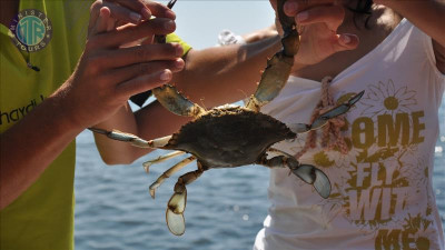 Wycieczka nad jezioro Koycegiz i Dalyan z Turunc